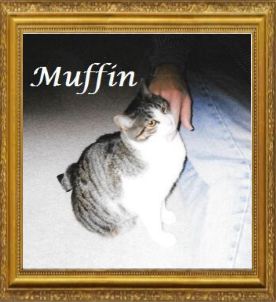 Muffin Weldon. 2015